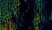 Particle Image Velocimetry Image